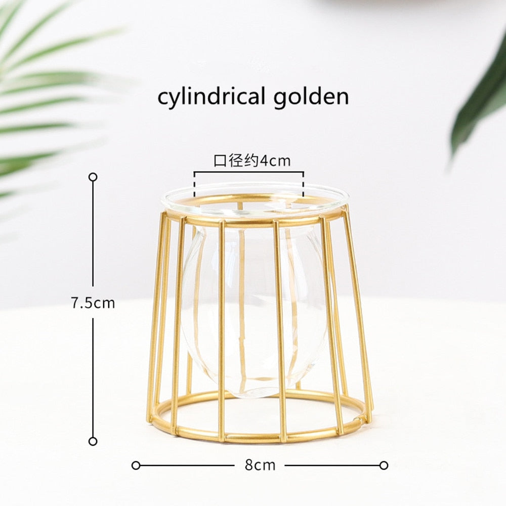 Iron Line Flower Vase Metal Plant Holder Modern Home Decor Vases Ornament Nordic Style Golden Black Glass Hydroponic Container.